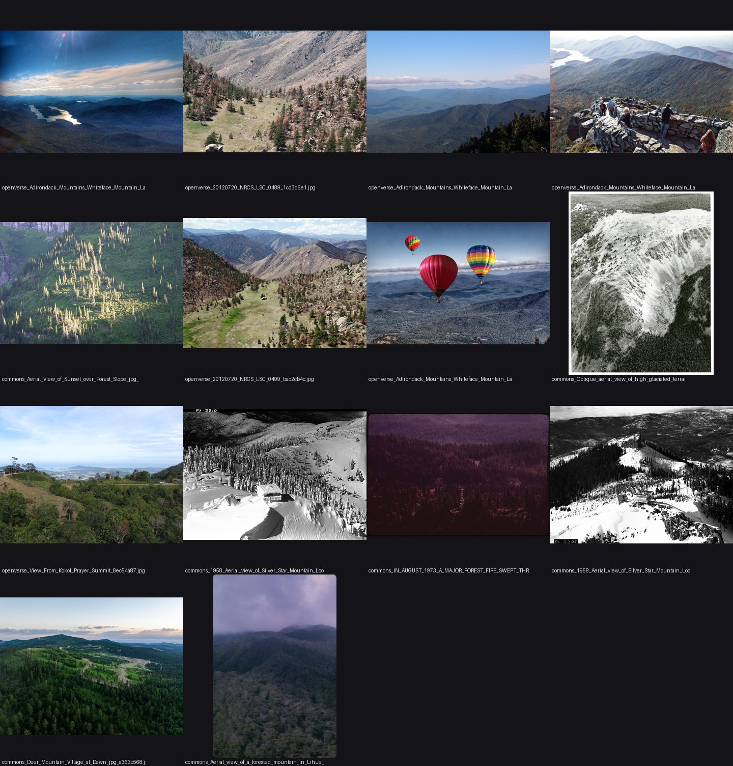 aerial/refs/aerial_view_forested_mountain_slope/_sheet.jpg