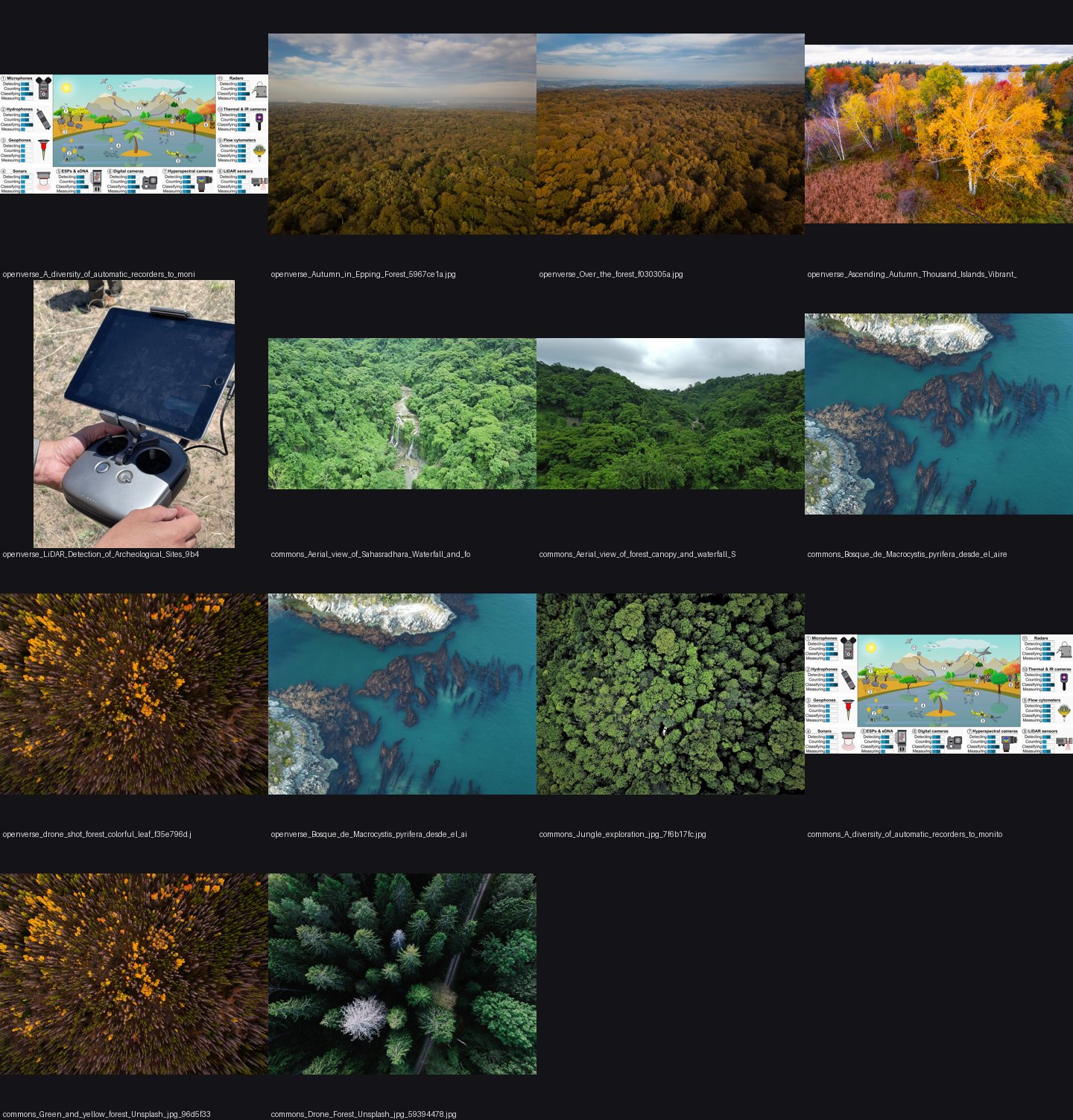 aerial/refs/drone_forest_canopy_oblique/_sheet.jpg