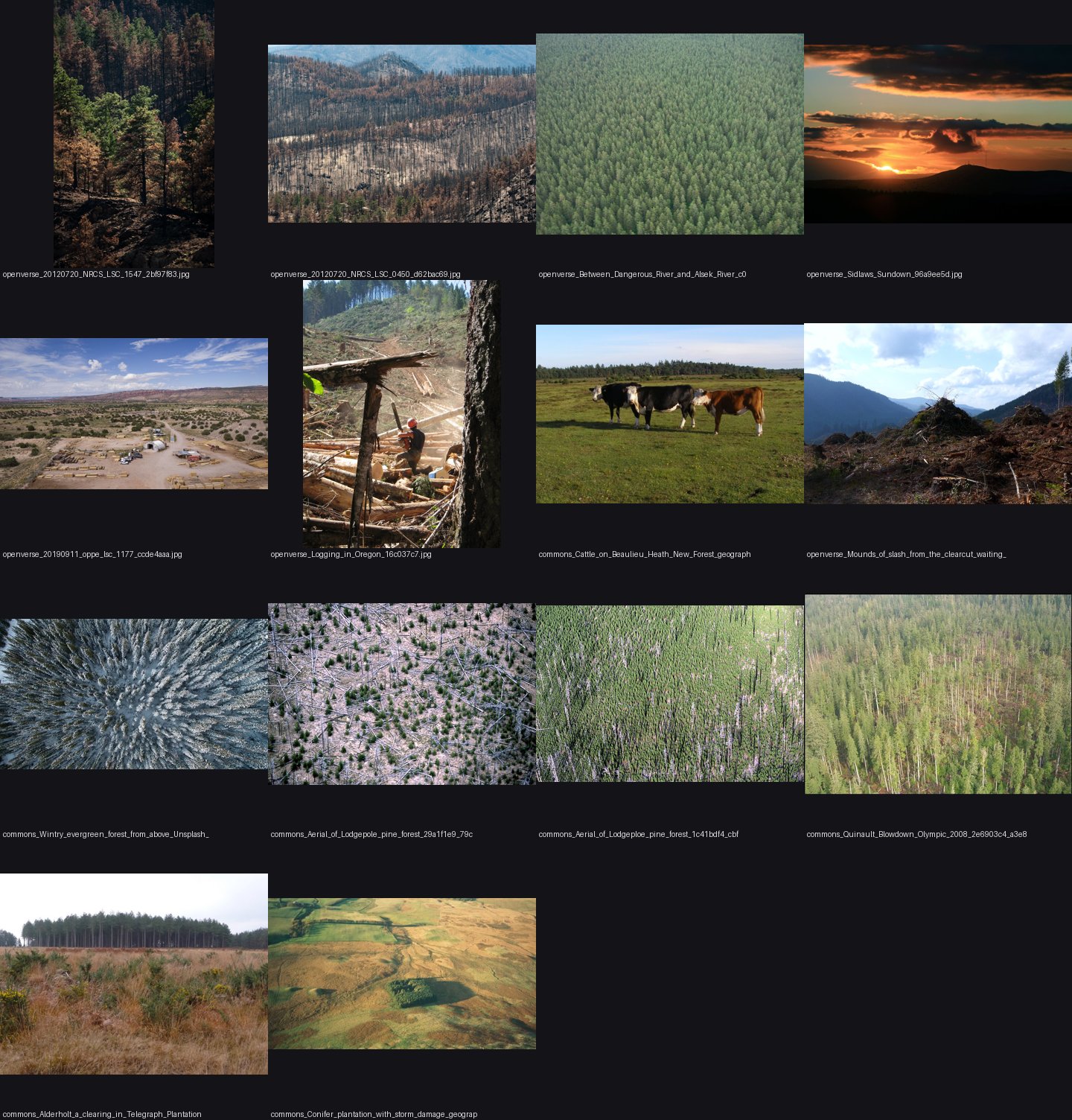 aerial/refs/aerial_conifer_forest_hillside/_sheet.jpg