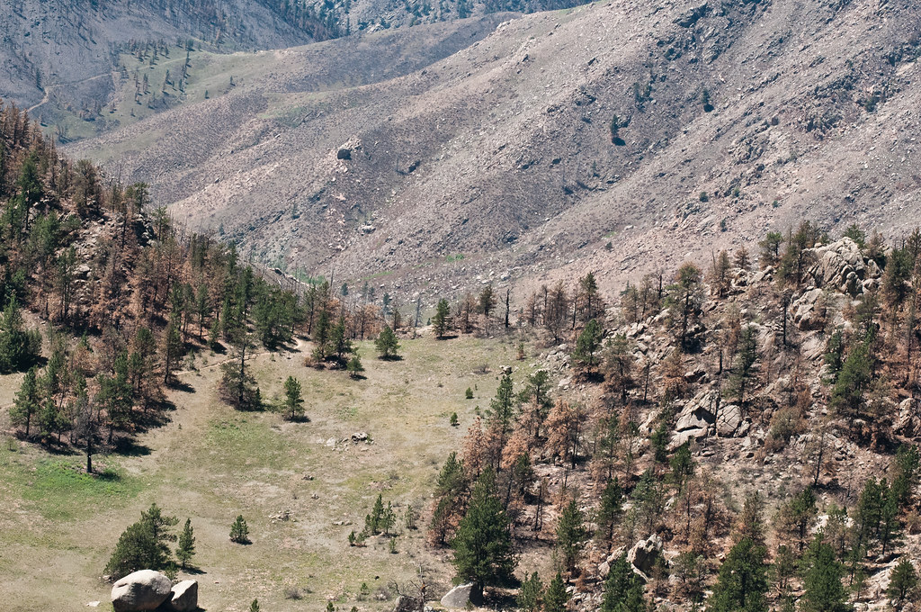 aerial/refs/aerial_view_forested_mountain_slope/openverse_20120720_NRCS_LSC_0489_1cd3d6e1.jpg