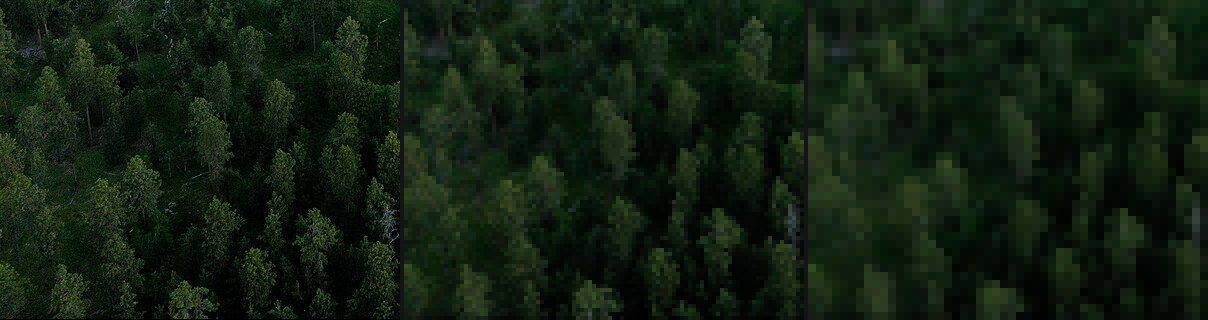 aerial/scratch/deer_near_scales.png