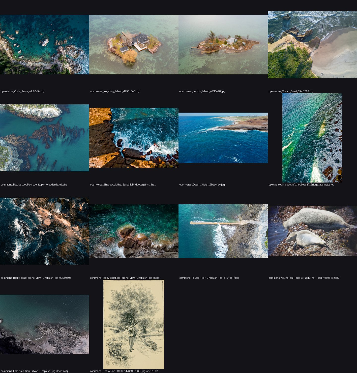 aerial/refs/drone_rocky_coast_forest/_sheet.jpg