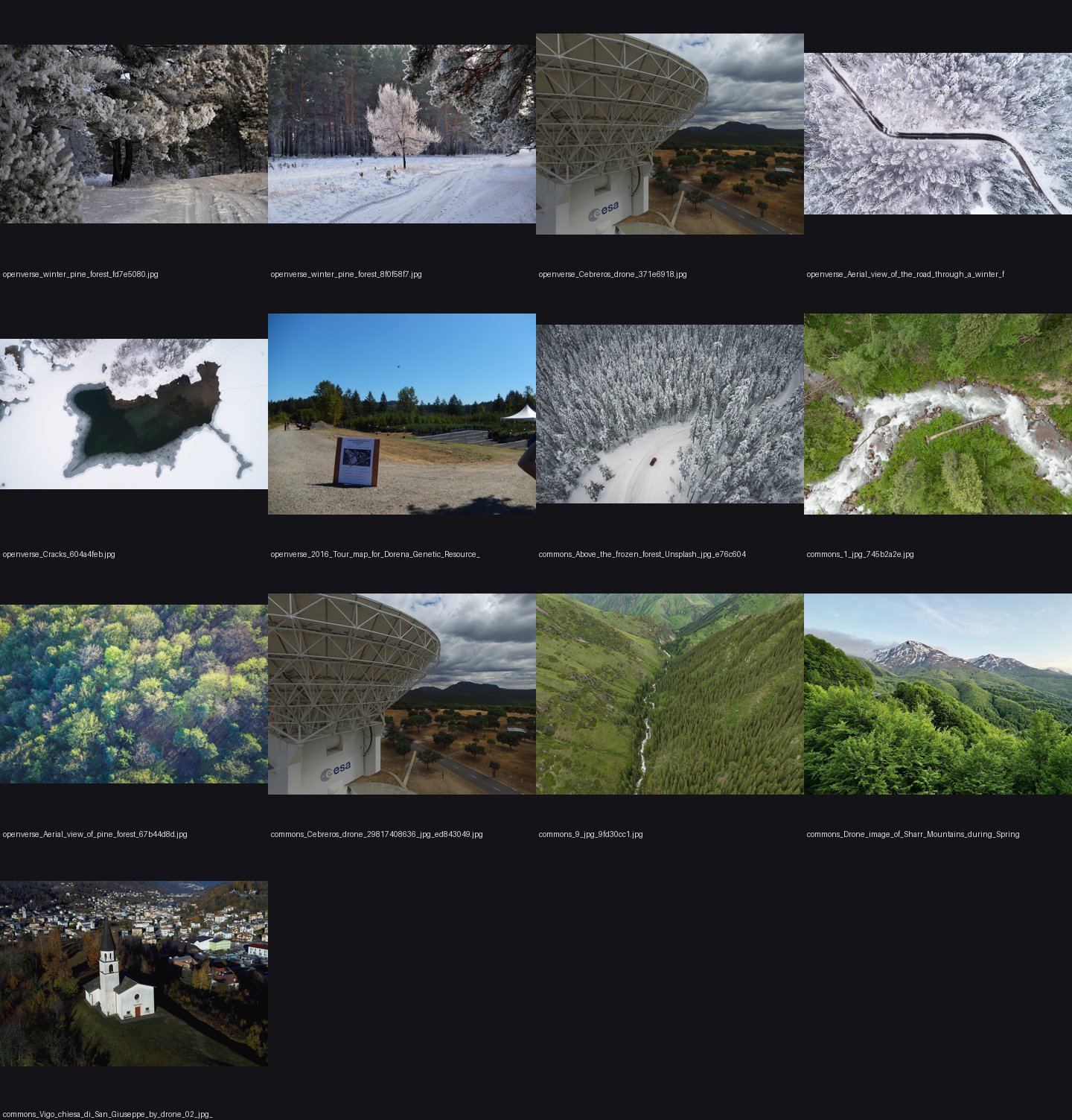 aerial/refs/drone_view_pine_forest_shadows/_sheet.jpg