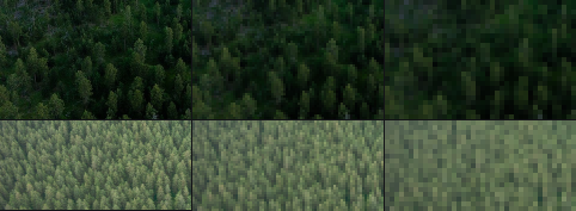 aerial/scratch/photo_forest_scales.png
