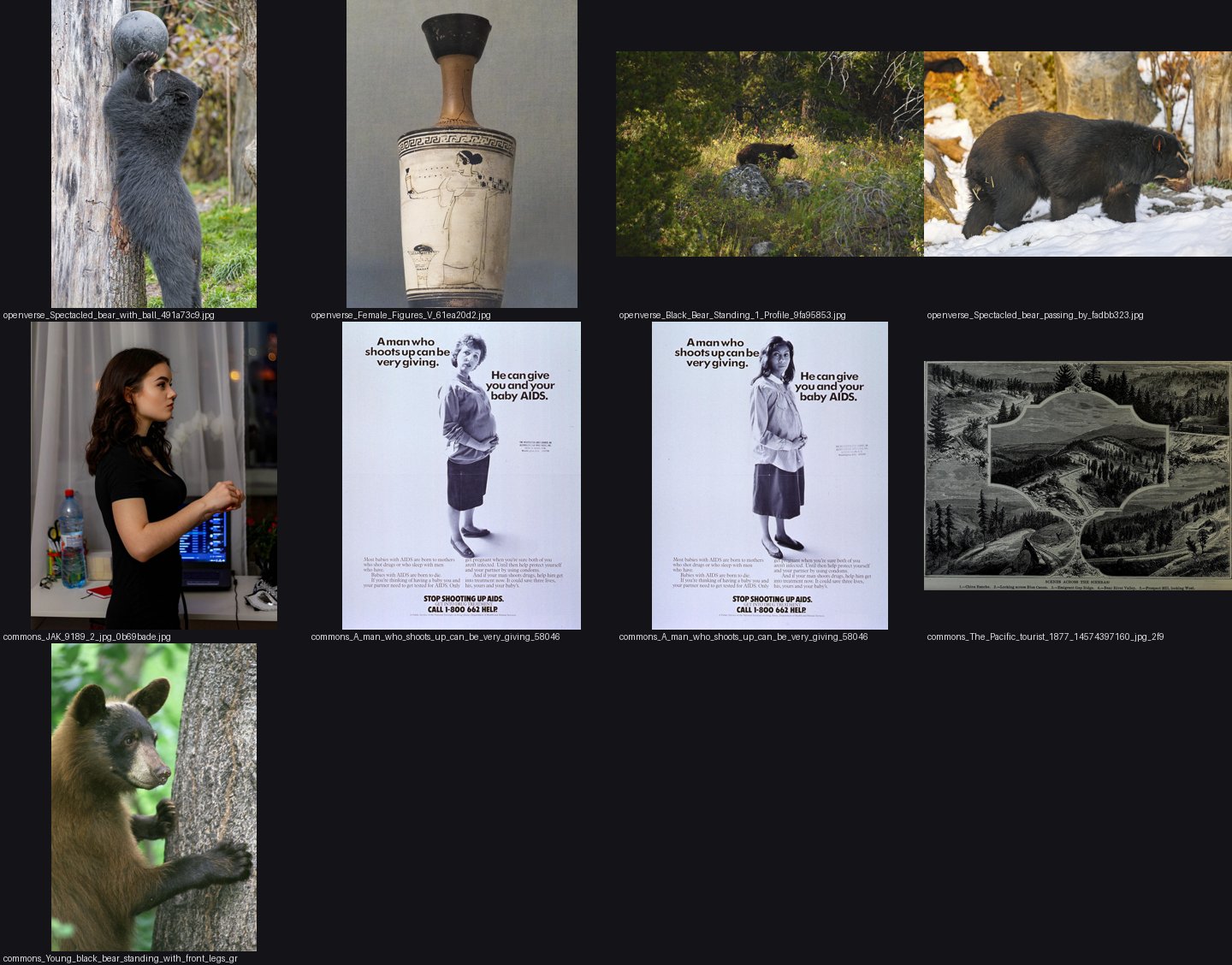 elements/bear-cougar/refs/black_bear_standing_profile/_sheet.jpg