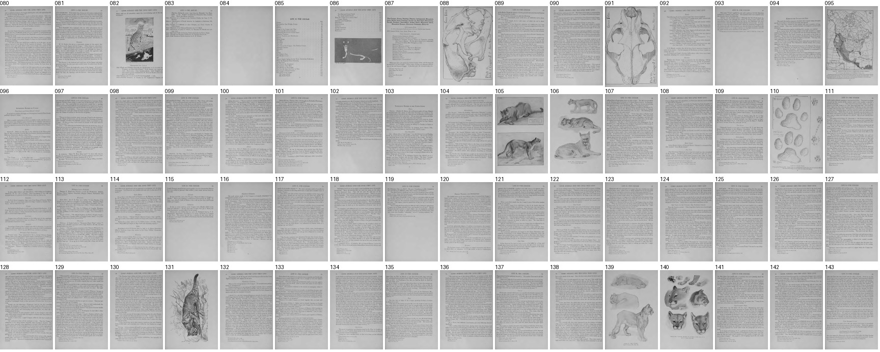/tmp/seton/sheet_c_0.png