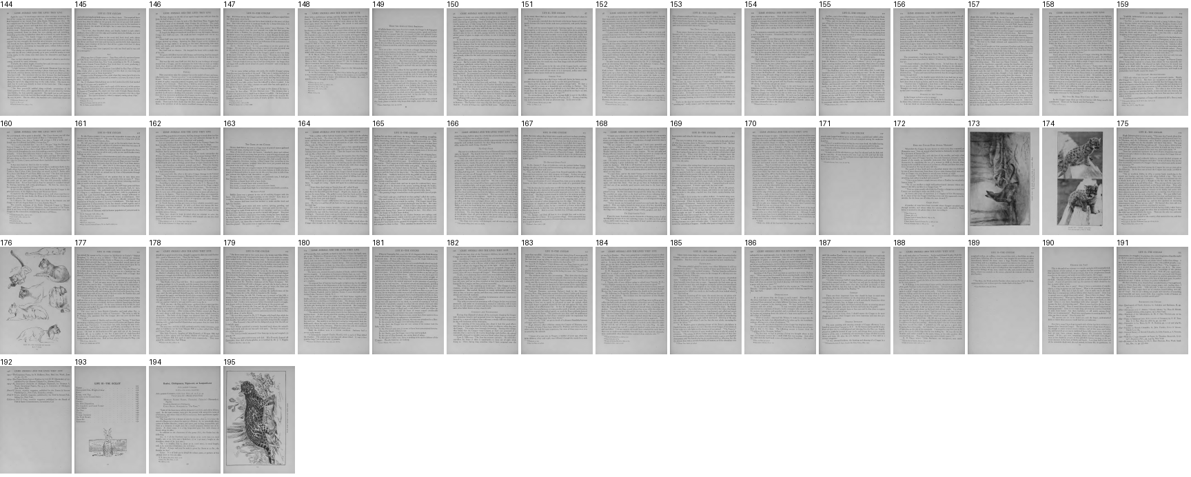 /tmp/seton/sheet_c_64.png