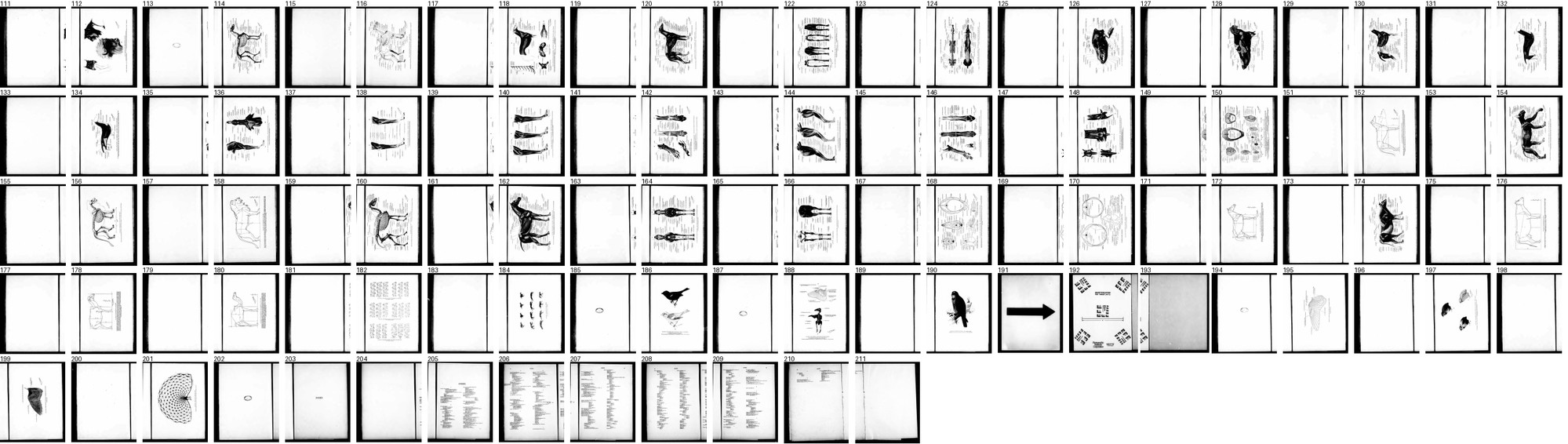 /tmp/seton/sheet_a_110.png