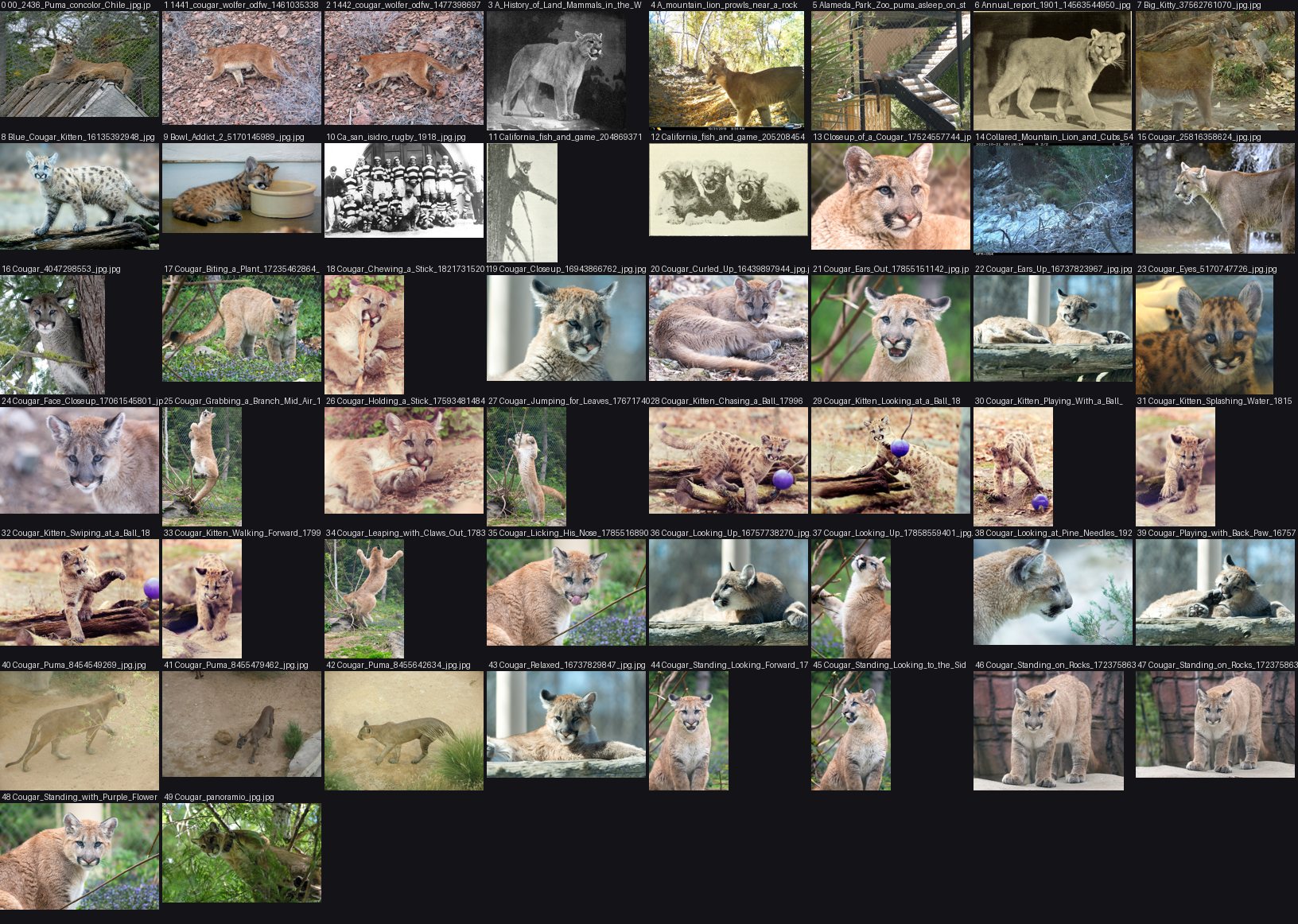/tmp/seton/puma_cs.png