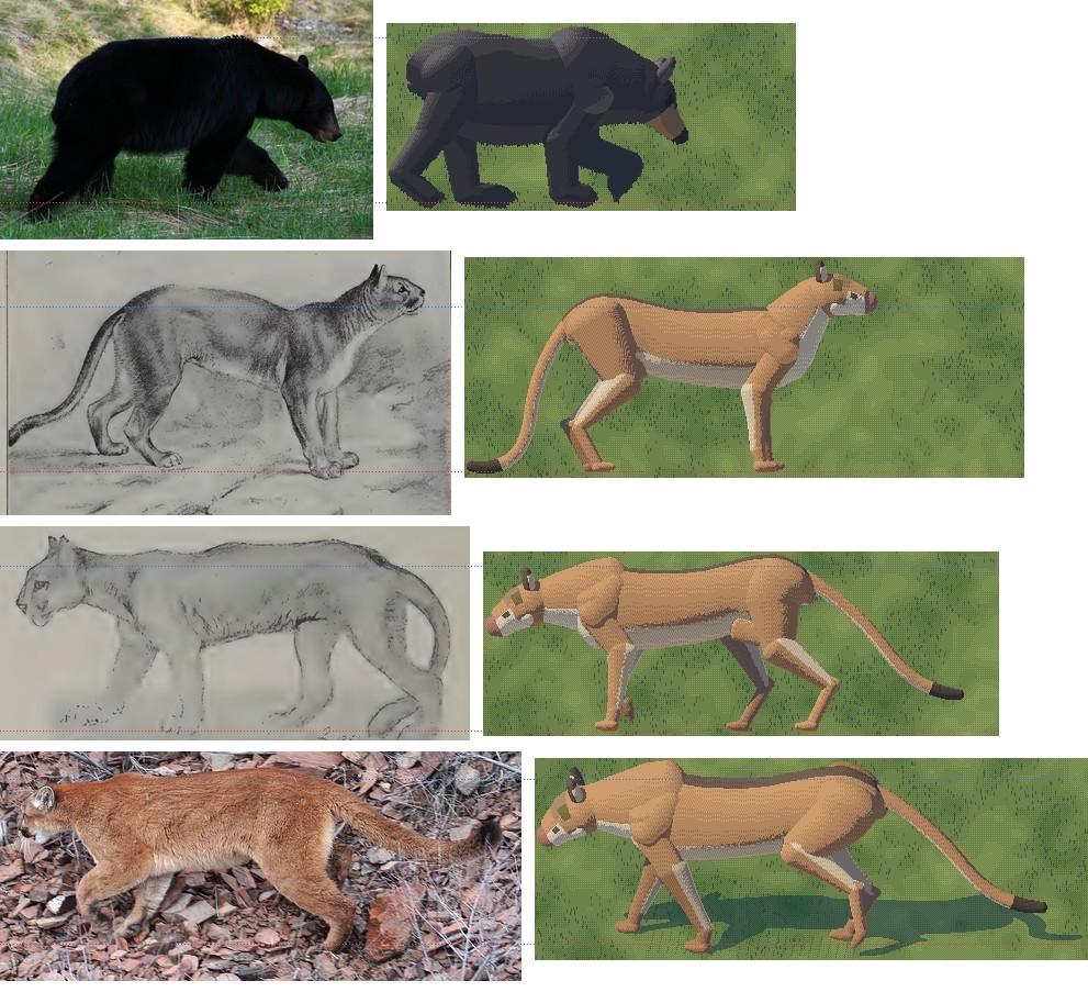 elements/bear-cougar/stages/s1/board_colour_c1.png