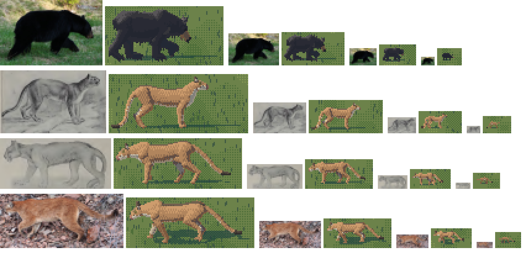 elements/bear-cougar/stages/s1/sizes_c2.png