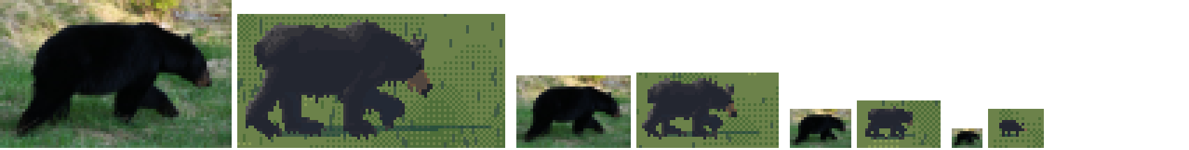 /tmp/seton/s3crop.png