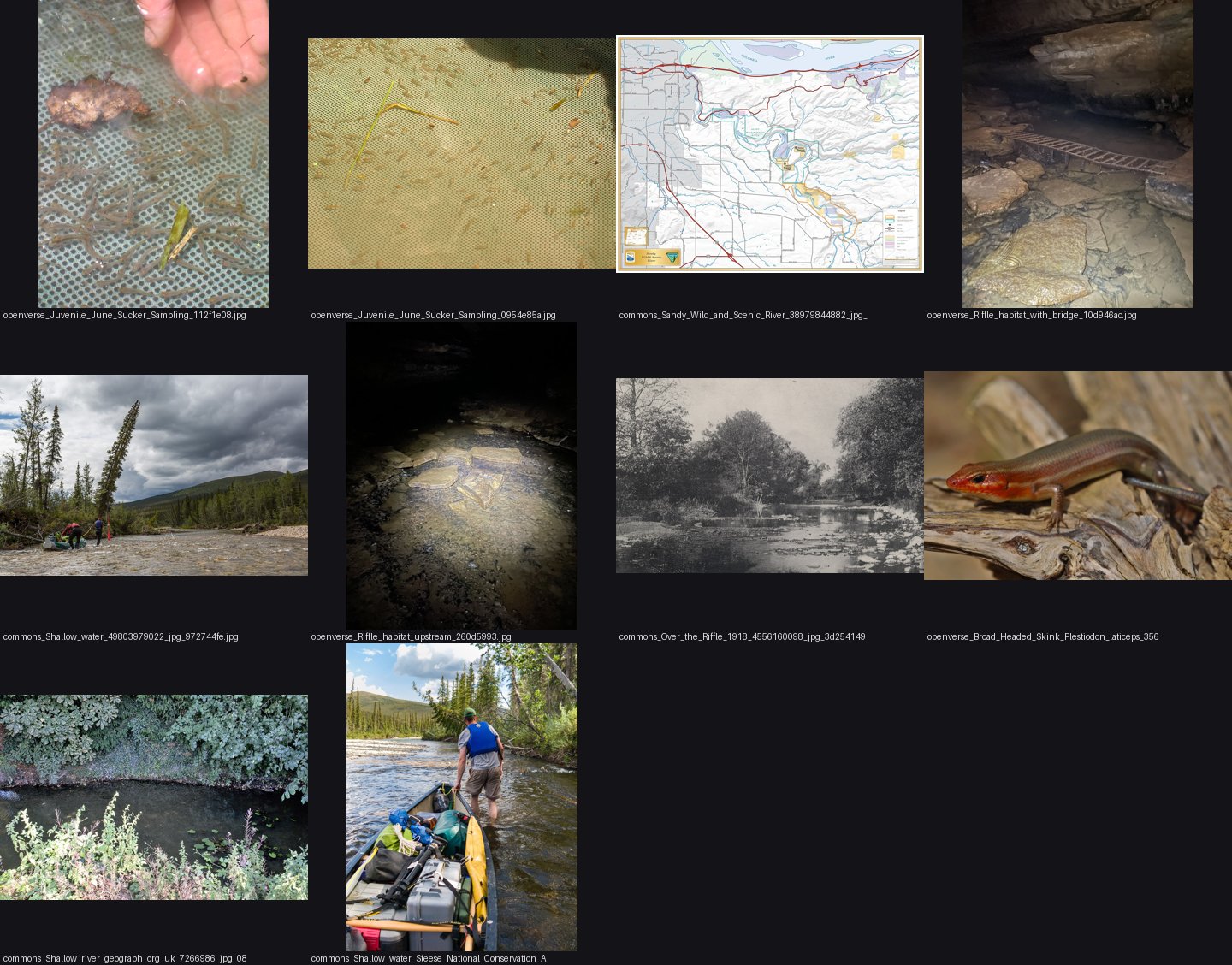 elements/channel/refs5/_sheet.jpg