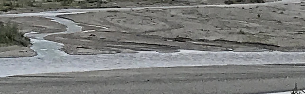 elements/channel/study/ph_healy_edge.png