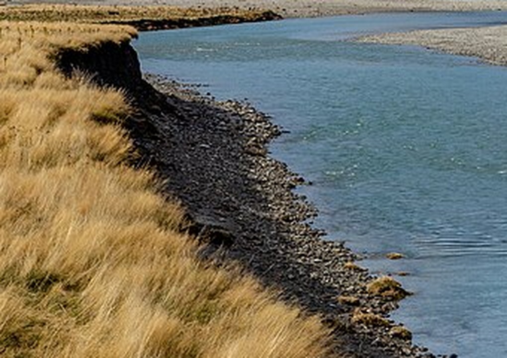 elements/channel/study/ph_wilkin_grassedge.png