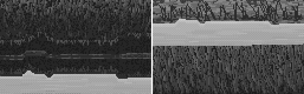 (manager scratchpad)/s2_grass.png