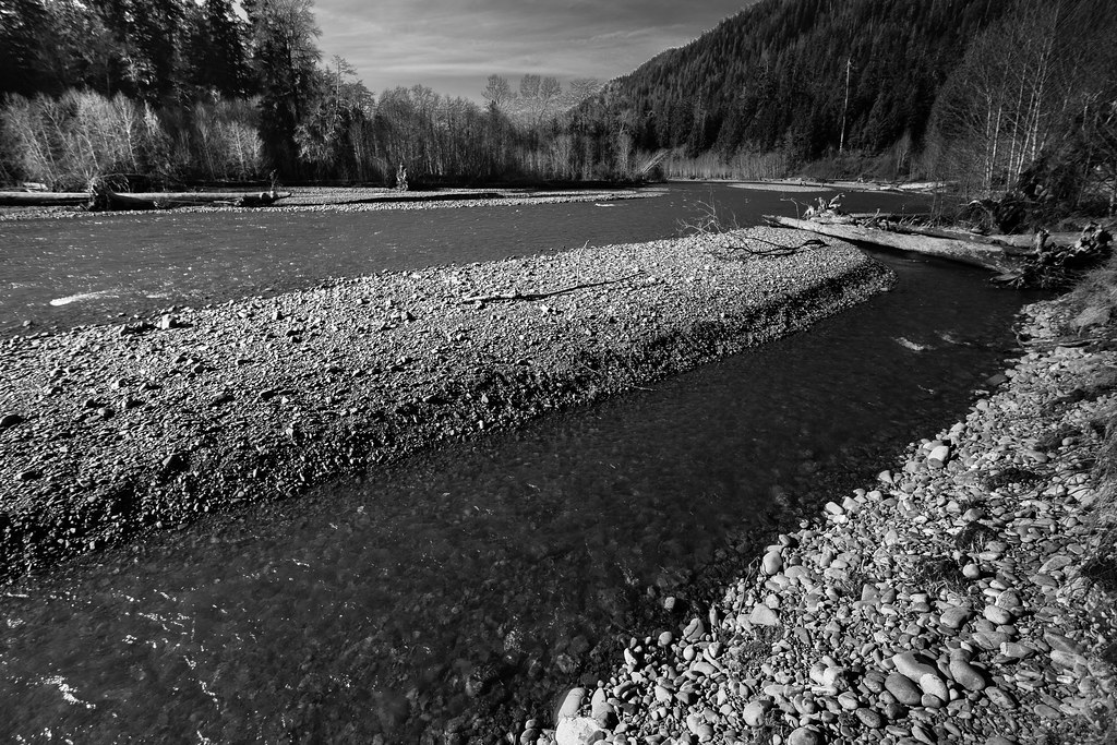 transfer/refs/braided_hoh_gravel_bar.jpg