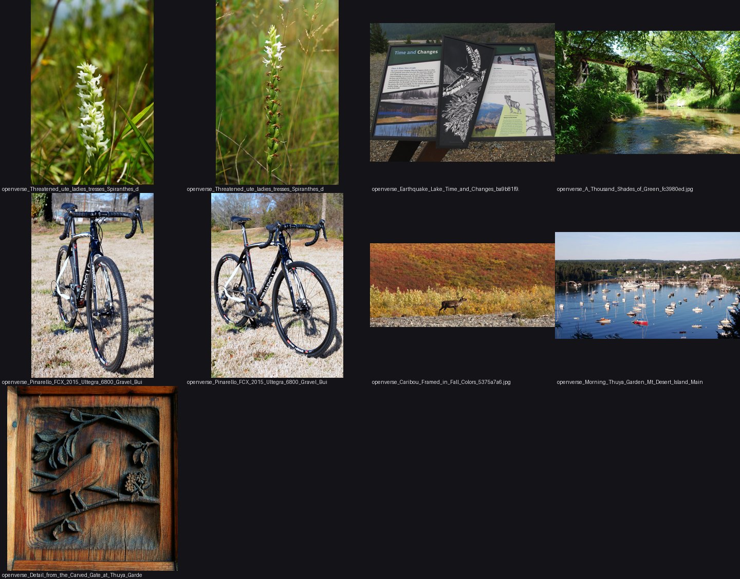 elements/cobbles/refs/gravel_bar_grass_edge/_sheet.jpg