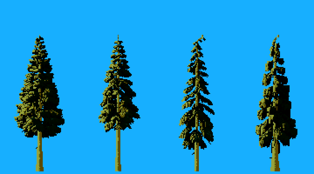 elements/conifers/tmp/t0.png