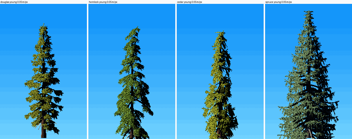 elements/conifers/stage1/n1.png