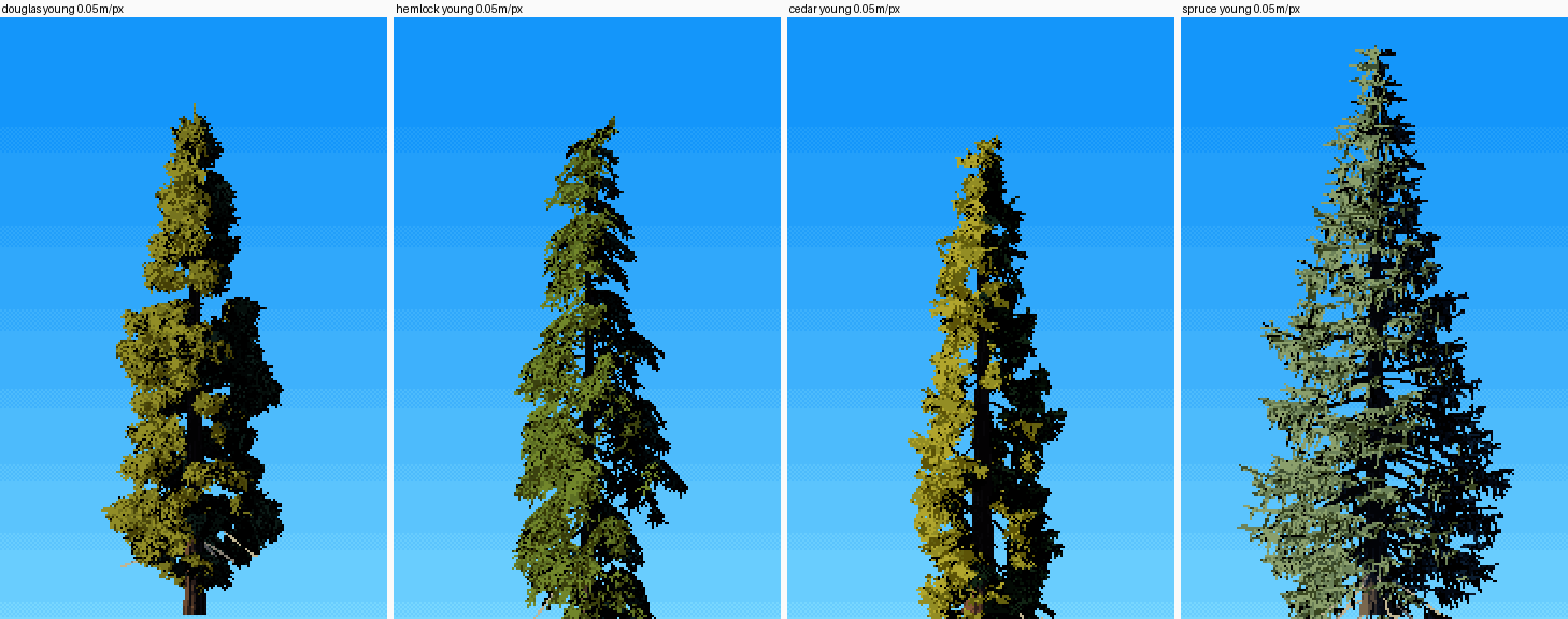 elements/conifers/stage1/n5.png