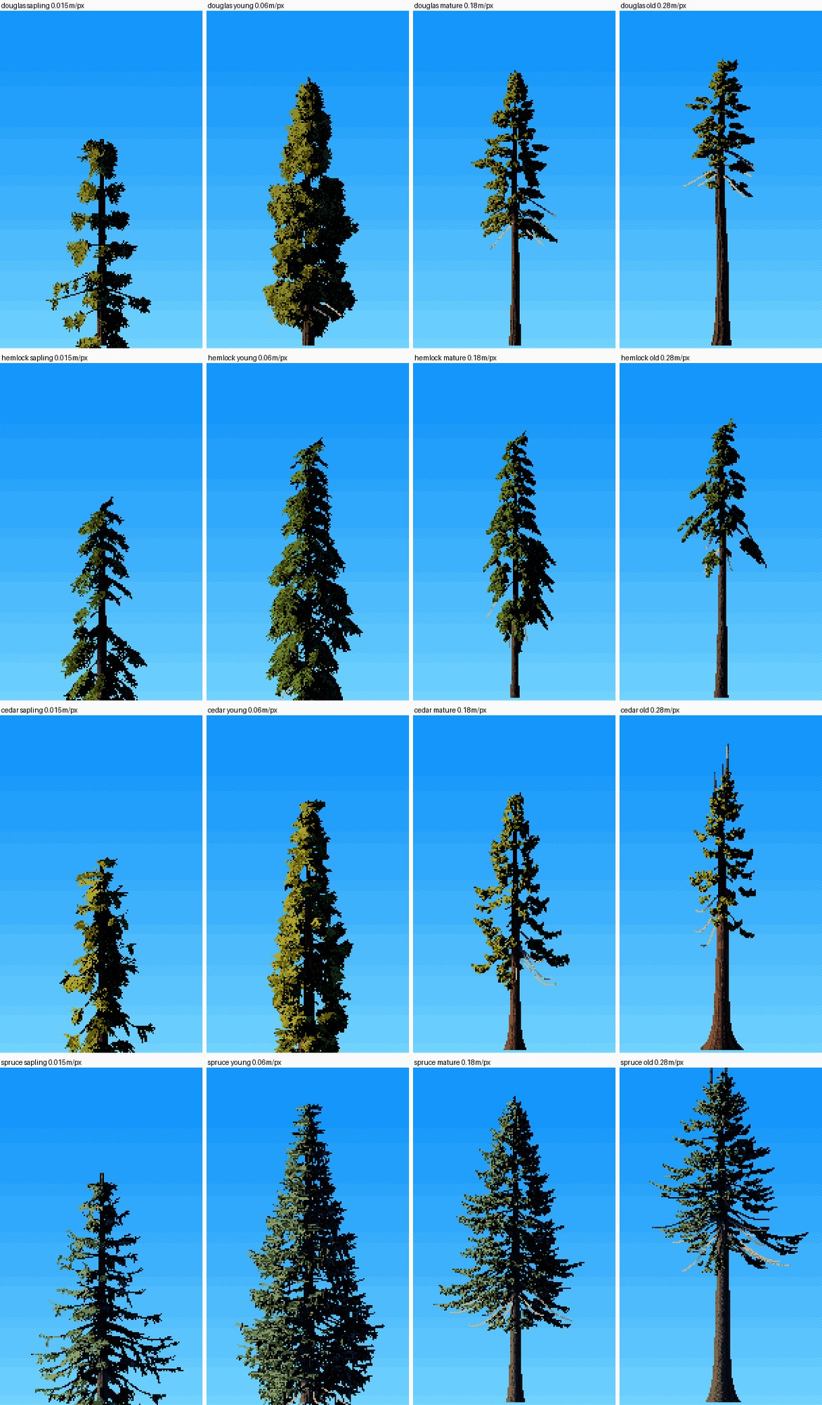 elements/conifers/stage2/a1.png