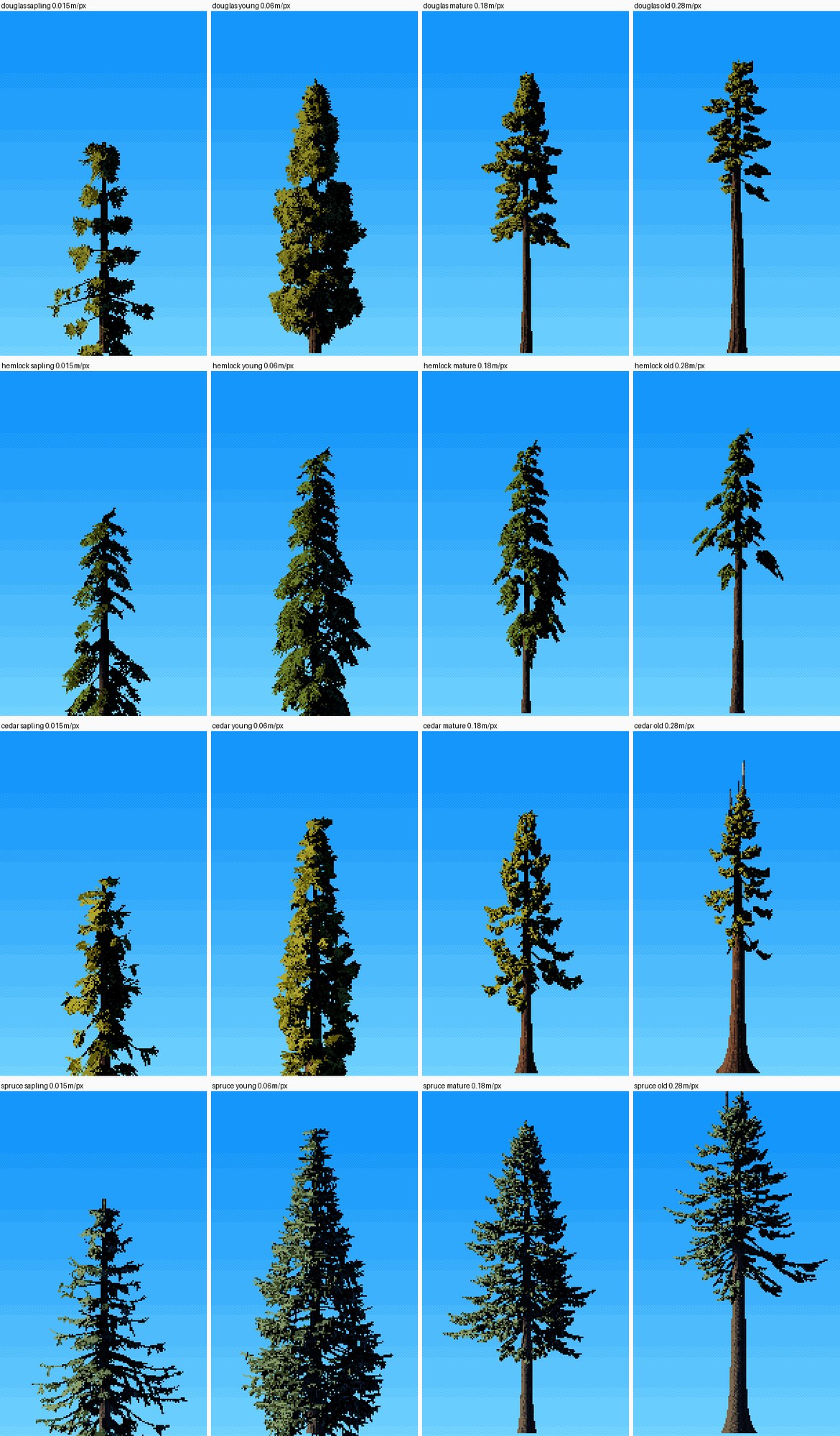 elements/conifers/stage2/a2.png