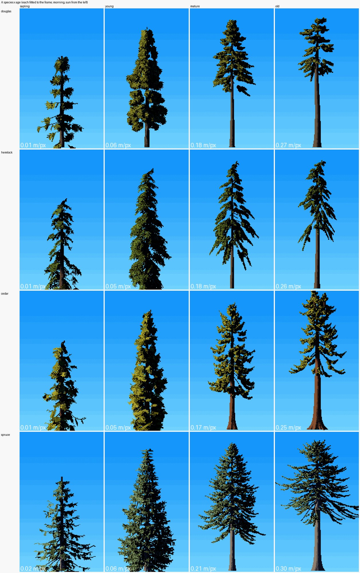 elements/conifers/sheets/A_species_x_age.png