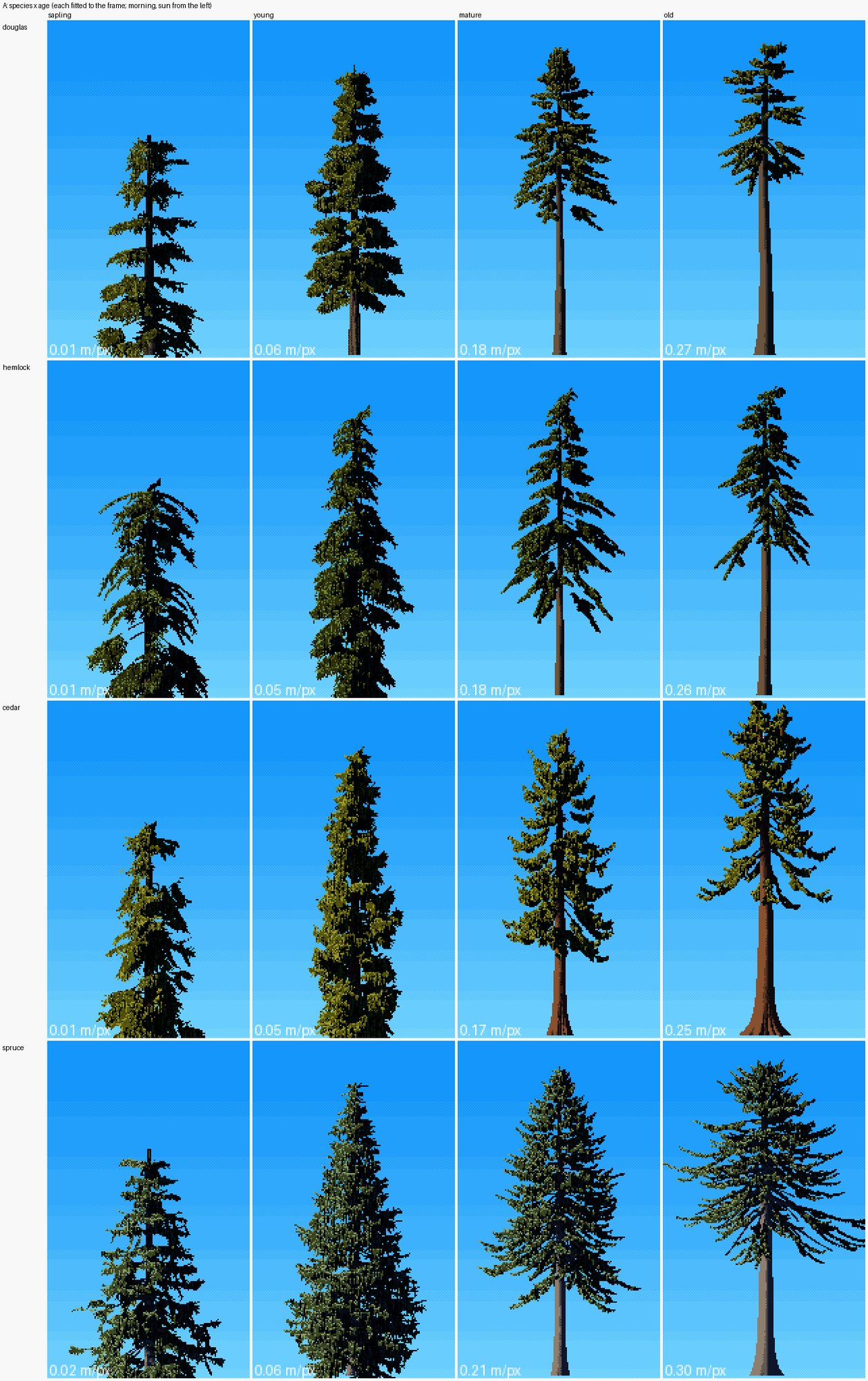 elements/conifers/sheets/A_species_x_age.png