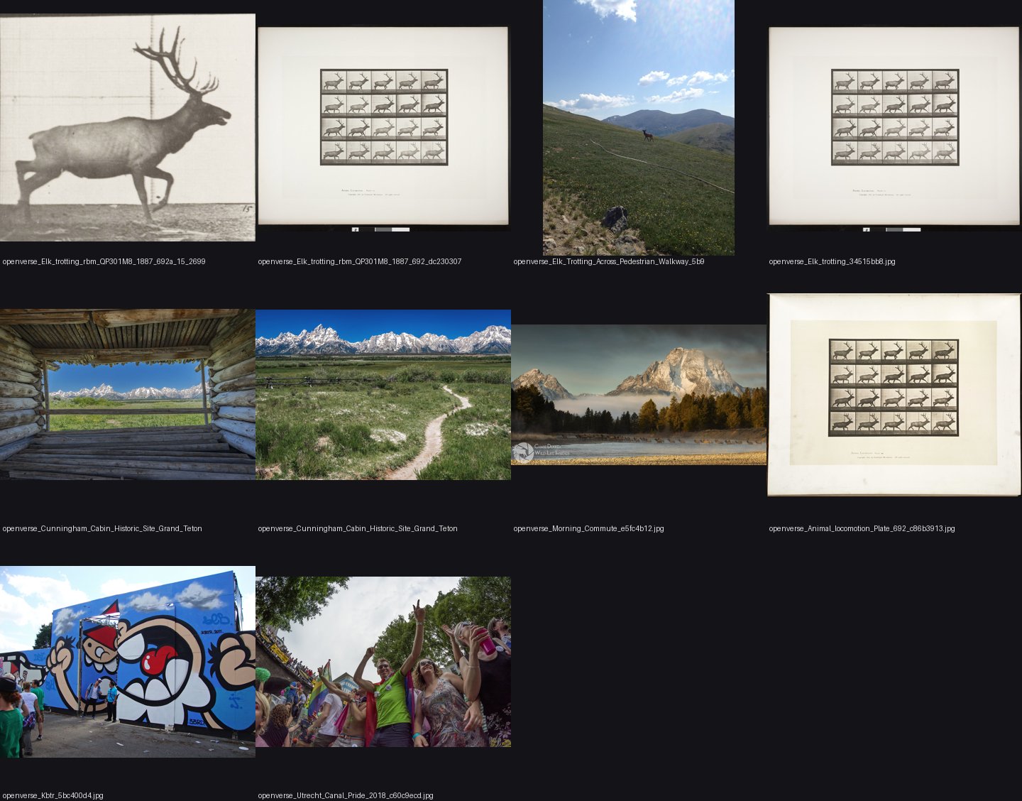 elements/deer-elk/refs/elk_trotting/_sheet.jpg