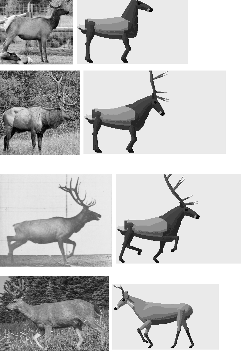 elements/deer-elk/stages/s1/board_b2.png