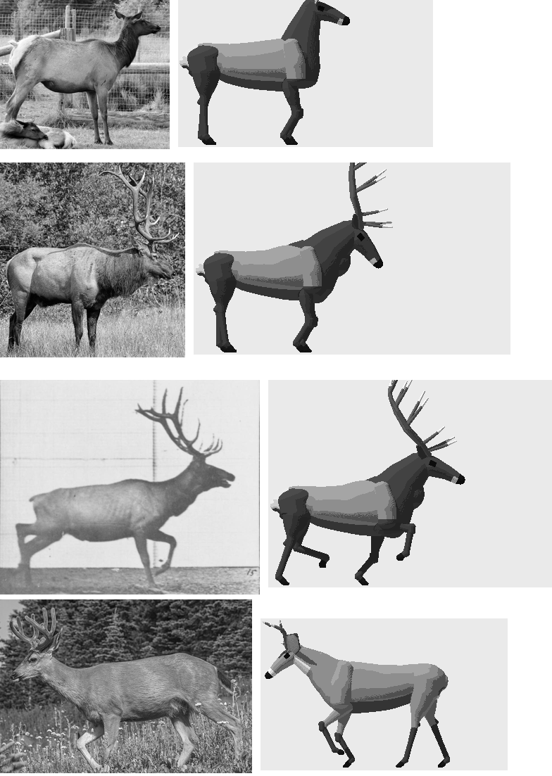elements/deer-elk/stages/s1/board_b3.png