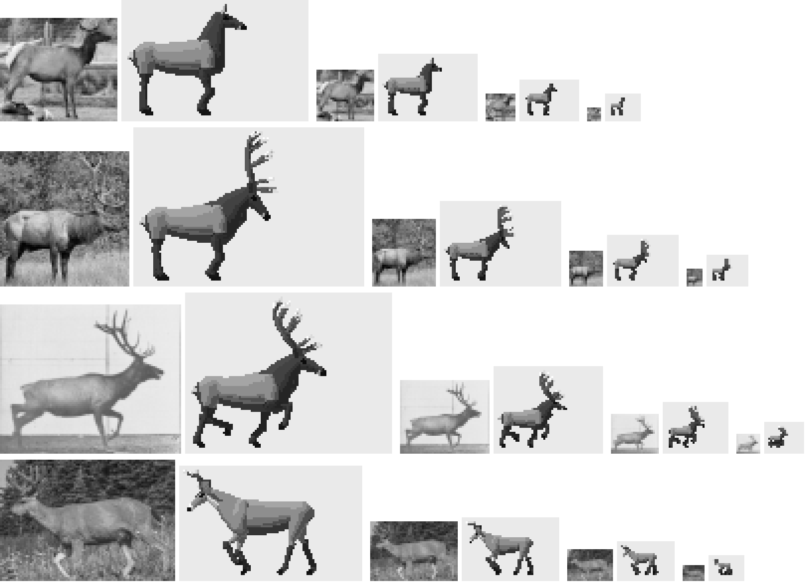 elements/deer-elk/stages/s1/sizes_s1.png