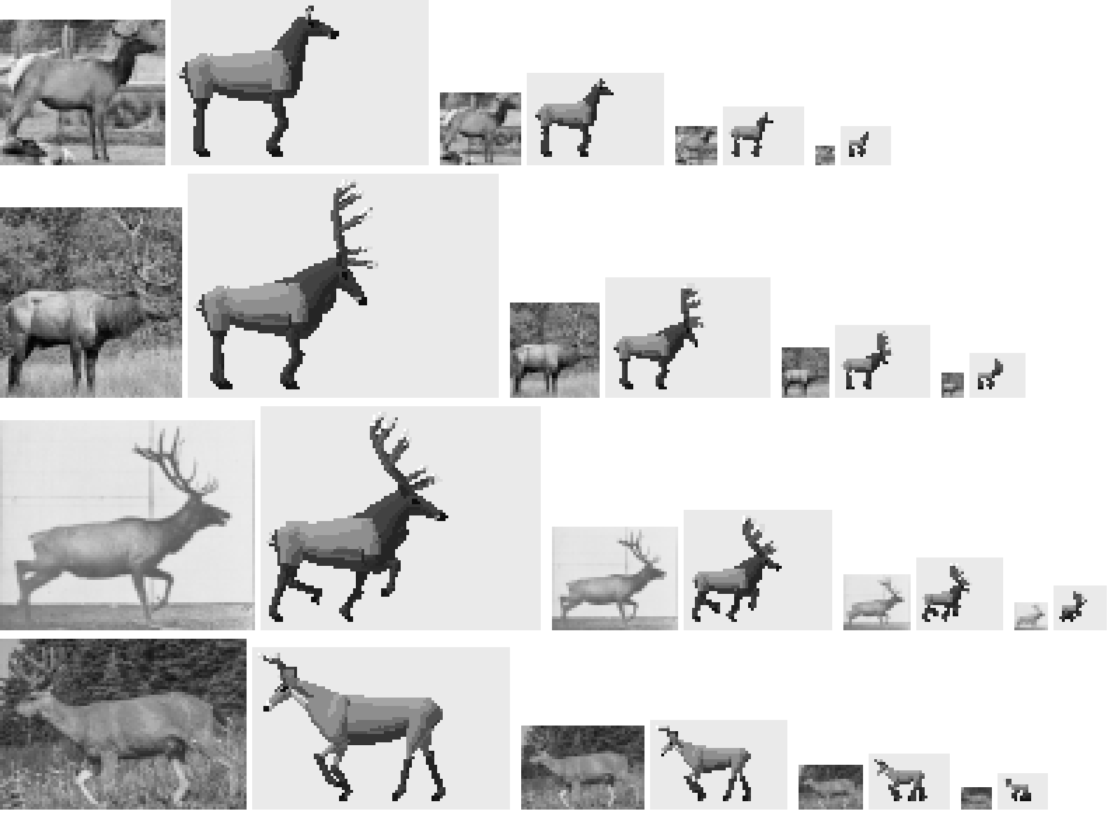 elements/deer-elk/stages/s1/sizes_s3.png