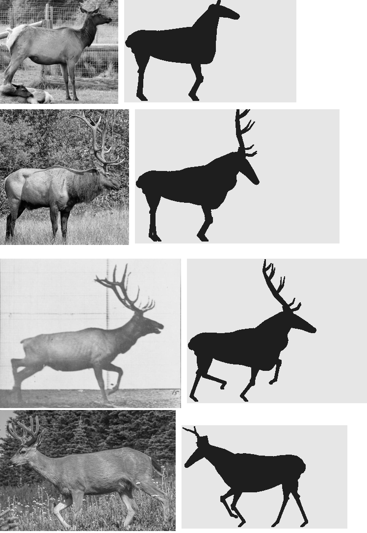 elements/deer-elk/stages/s1/board_notan2.png