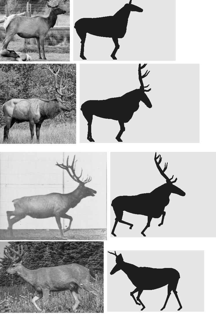 elements/deer-elk/stages/s1/board_notan4.png