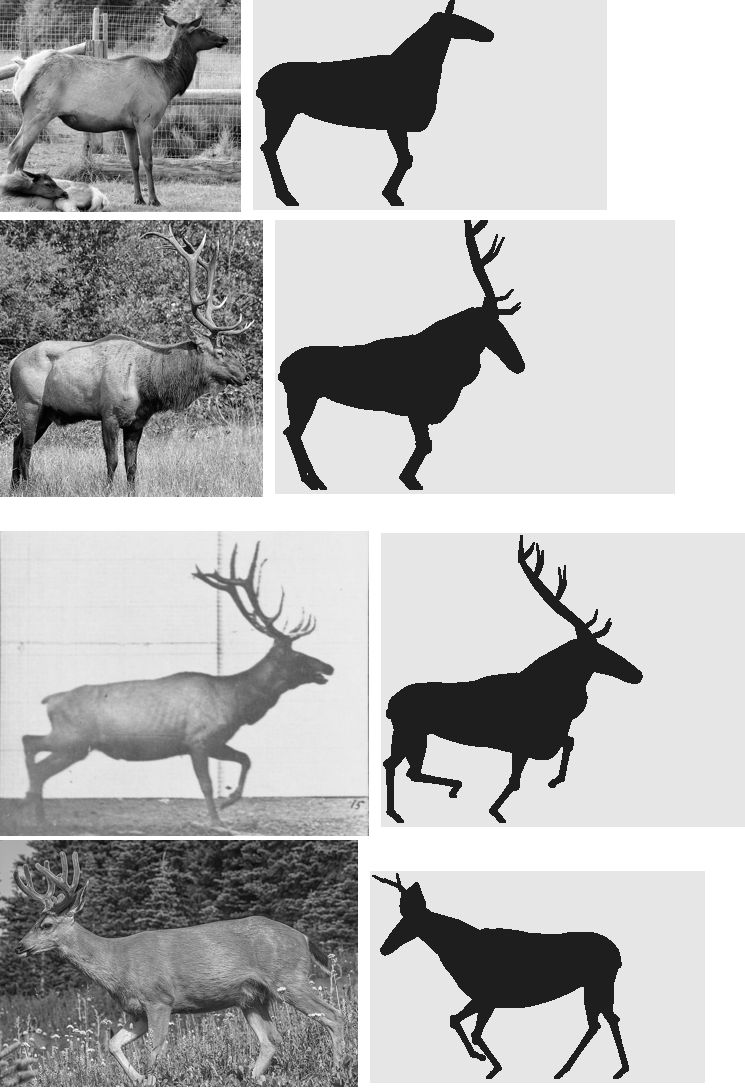 elements/deer-elk/stages/s1/board_notan5.png