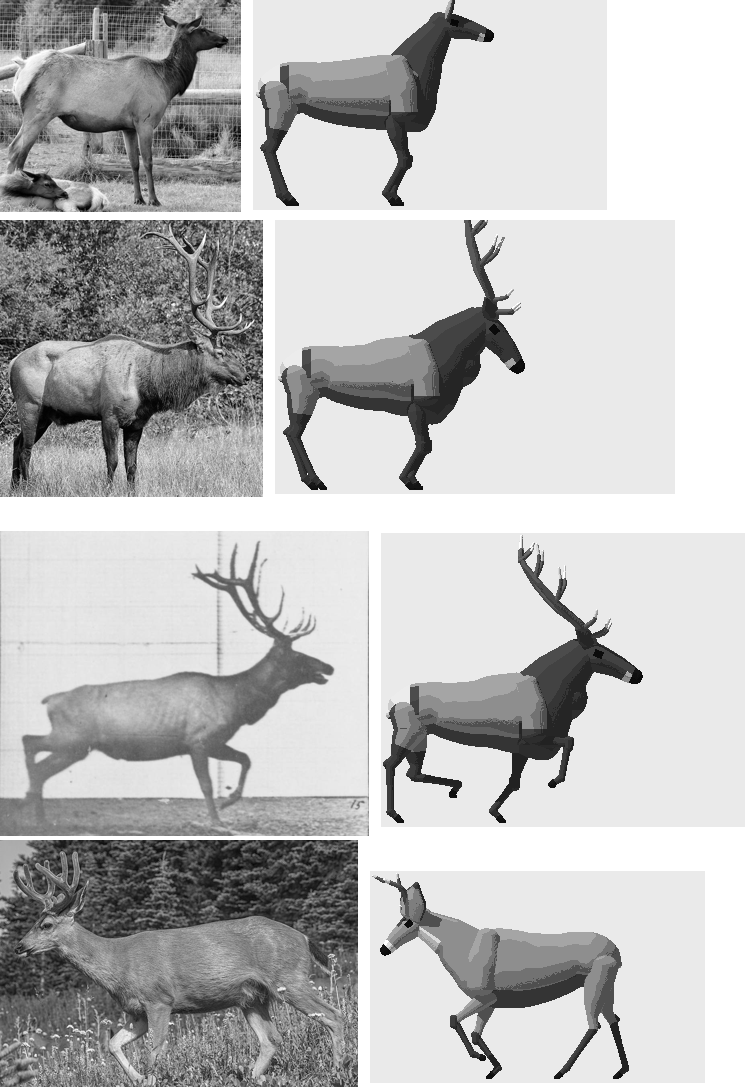 elements/deer-elk/stages/s1/board_grey5.png