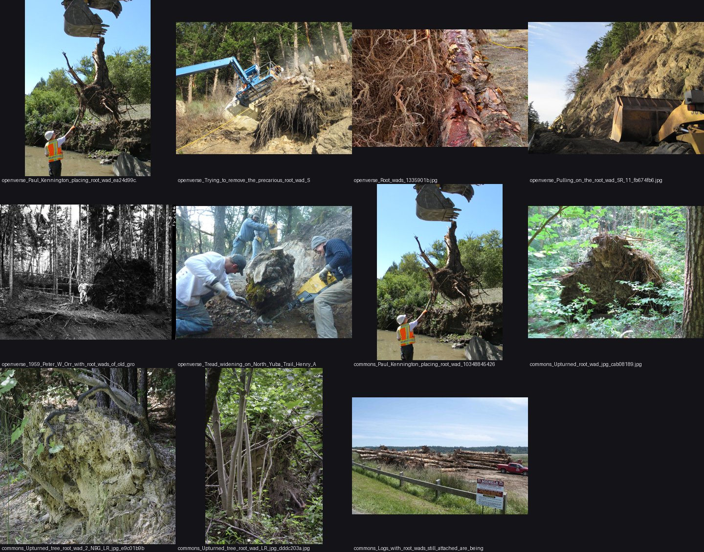 elements/driftwood/refs/_sheet.jpg