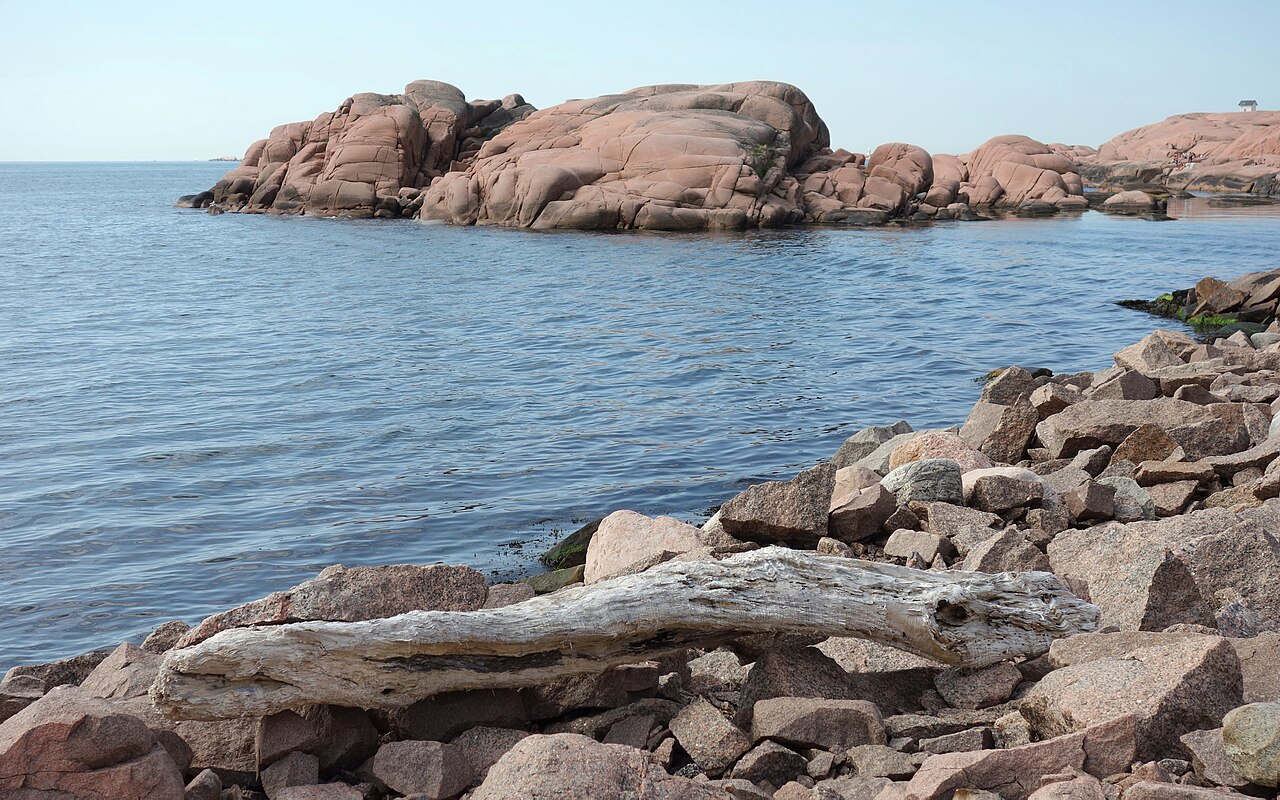 elements/driftwood/refs/commons_Cliffs_and_driftwood_at_St_ngehuvud_b_jpg_10933a5d.jpg