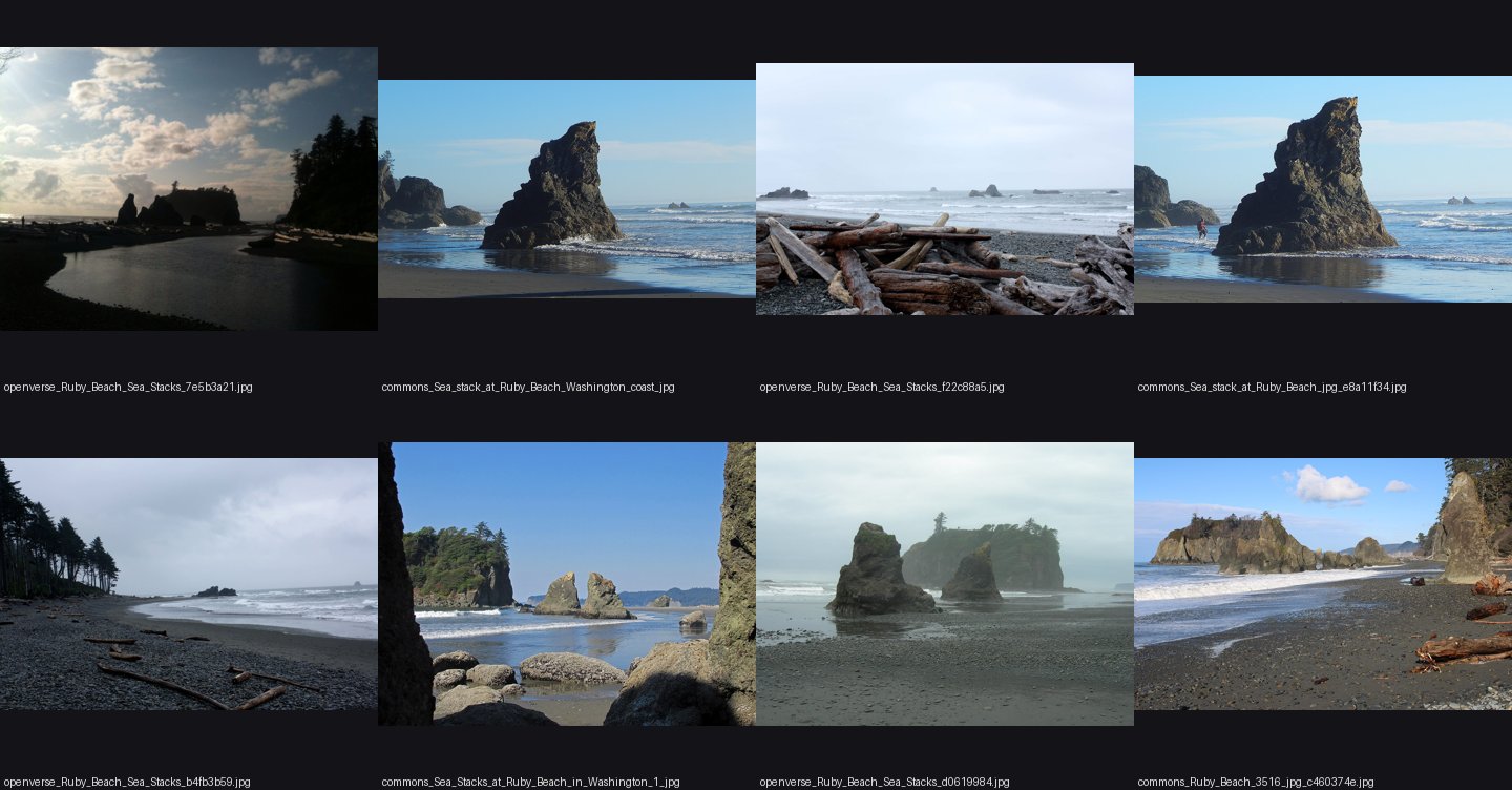 books/genge/refs/Ruby_Beach_sea_stack/_sheet.jpg