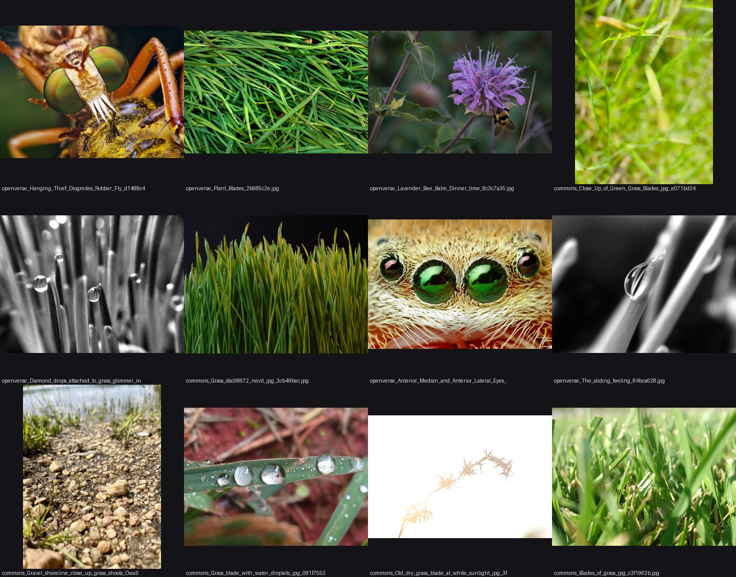 elements/grass-lod/photos/blades/_sheet.jpg