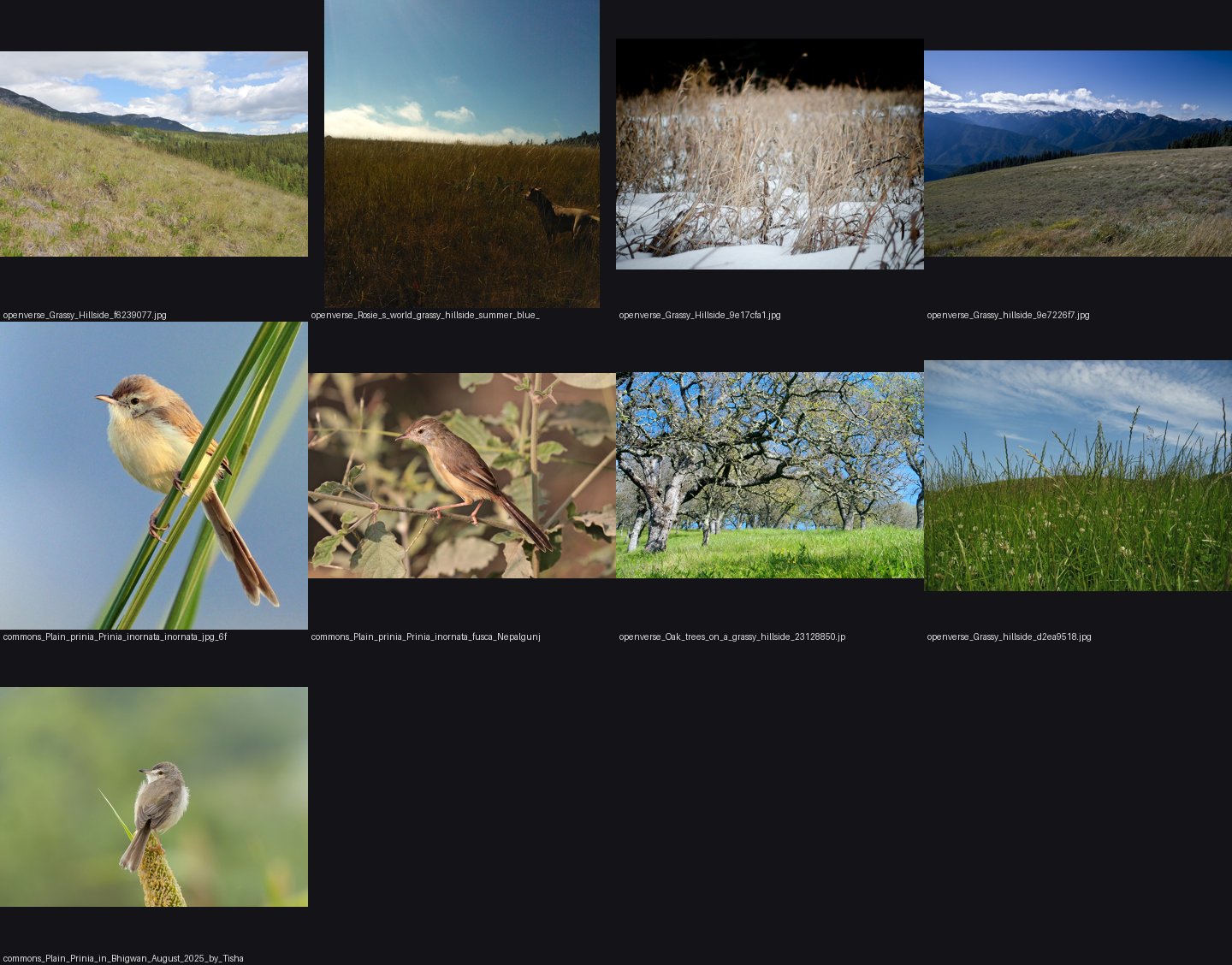 elements/grass-lod/photos/hillside/_sheet.jpg