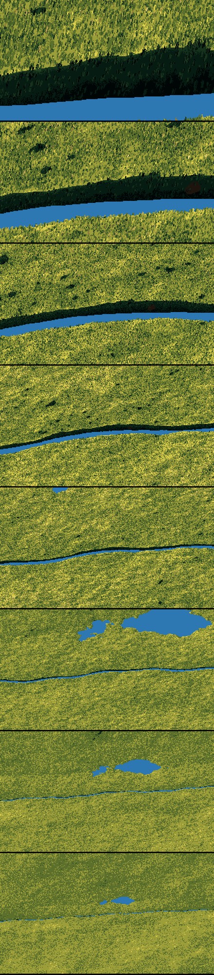 elements/grass-lod/img/zoom_v1_strip.png