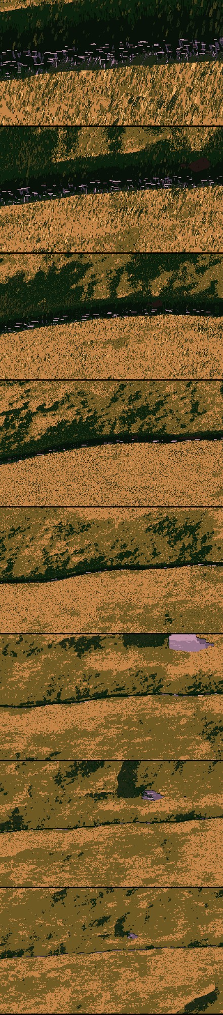 elements/grass-lod/img/zoom_g3_strip.png