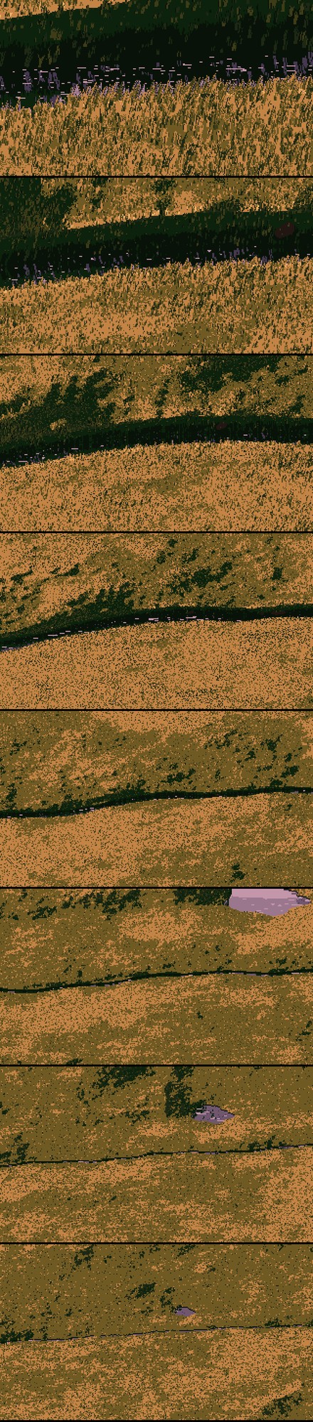 elements/grass-lod/img/zoom_golden_strip.png