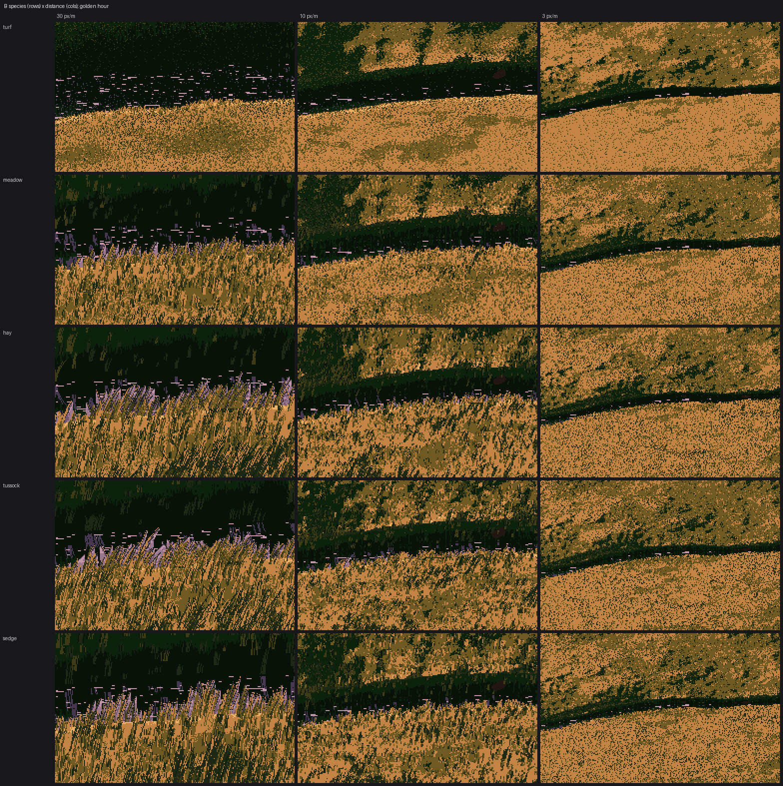 elements/grass-lod/sheets/sheet_B_species_x_distance.png