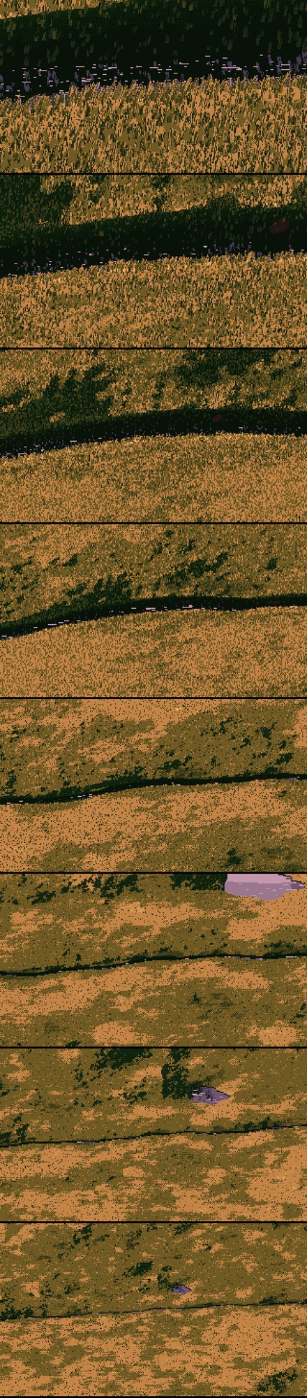 elements/grass-lod/img/zoom_golden_strip.png