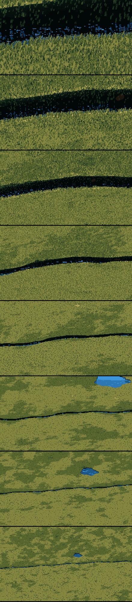 elements/grass-lod/img/zoom_day_strip.png