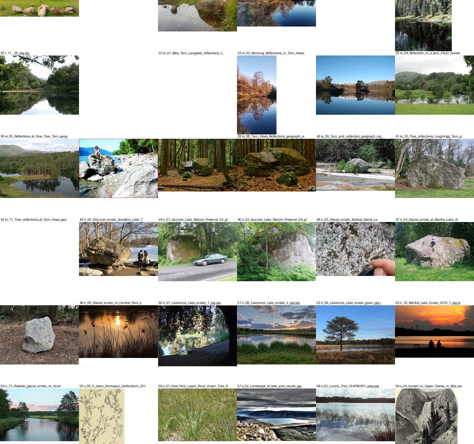 pedagogy/observation/studies/contact3_1.png
